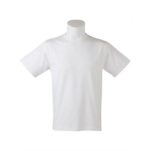 Deol(デオル) クールネックTシャツ ホワイト Sサイズ 【エフールジャパン】