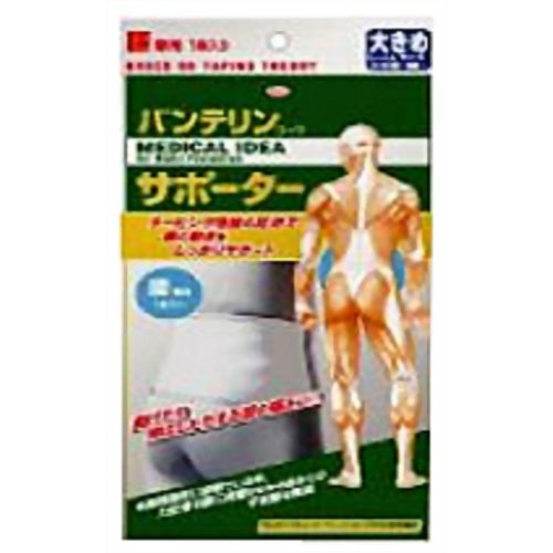バンテリンコーワサポーター 男性用 腰用 大きめサイズ ホワイト 1枚入 【興和新薬】