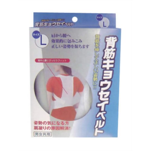 新生 背筋キョウセイベルト L 【新生】