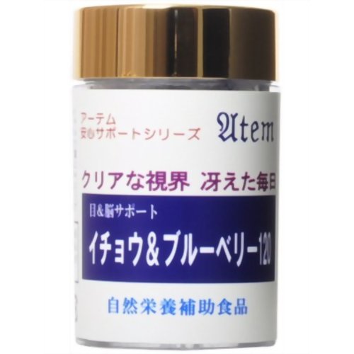 アーテム 目&脳サポート イチョウ&ブルーベリー120 90粒 【アーテム】