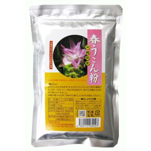 純沖縄産 春うこん粉末 100g 【沖縄物産企業連合】