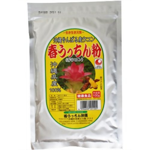 生き生き元気 春うっちん粉 沖縄やんばる産ウコン 100g 【うっちん沖縄】