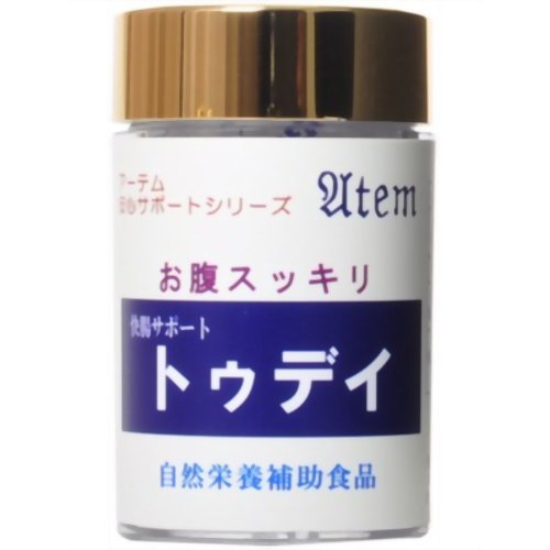 アーテム 快腸サポート トゥデイ 90粒 【アーテム】