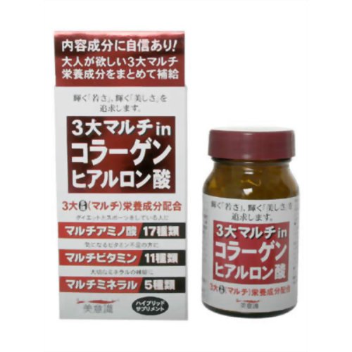 3大マルチin コラーゲン ヒアルロン酸 100粒 【美意識】