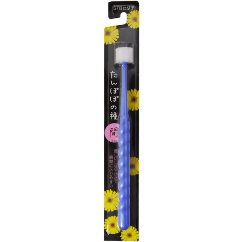 たんぽぽの種 間 【STBヒグチ】