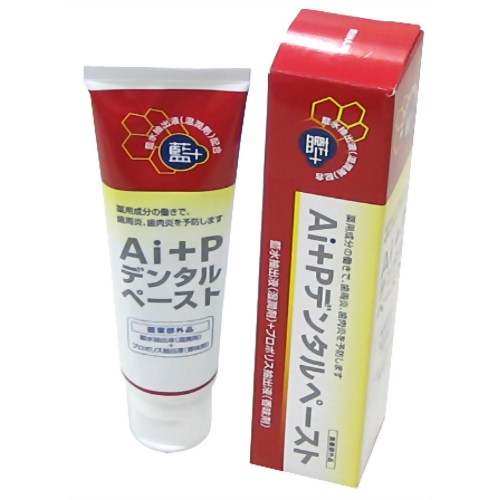 Ai+Pデンタルペースト 100g 【入交クリエイト】