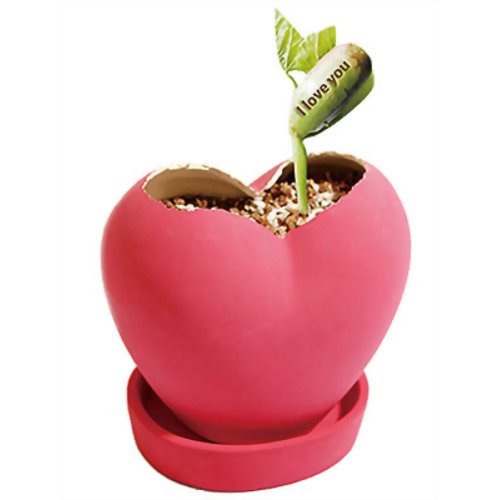 メッセージハート クラックタイプ I love you 【メテックス】