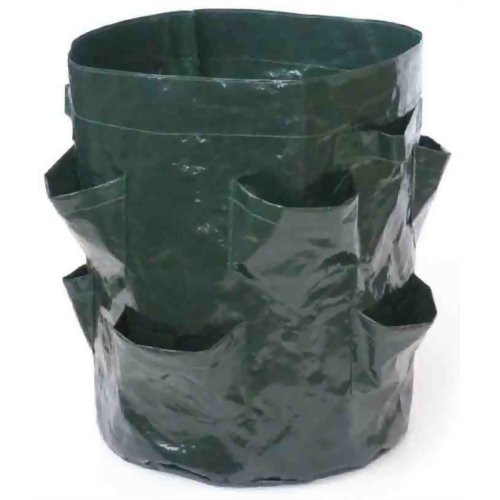 いちごプランター　【富士商】