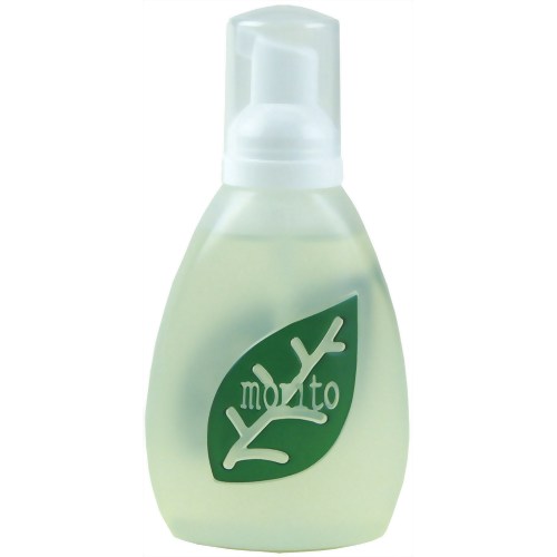 食器用洗剤 森と… 泡ボトル 225ml 【がんこ本舗】