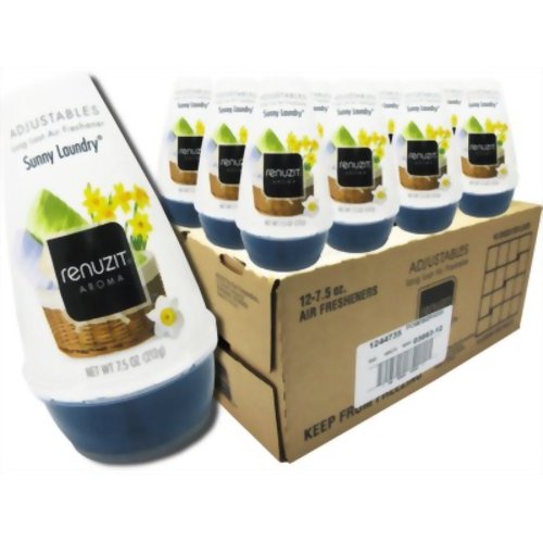リナジット エアーフレッシュナー BOX サニー ランドリー (12個入) 【ケップラボ】