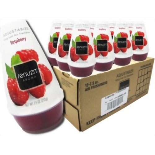 リナジット エアーフレッシュナー BOX ラズベリー (12個入) 【ケップラボ】
