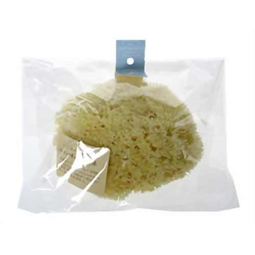 ナチュラルピュアスポンジ ギリシャ産海綿 XL 【ラッシュ】